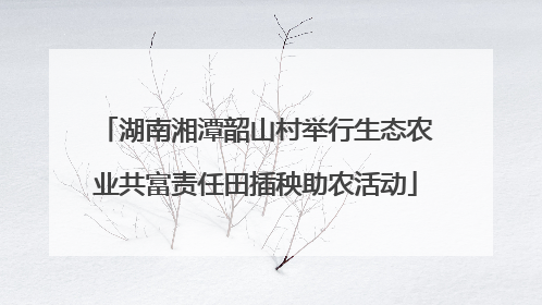 湖南湘潭韶山村举行生态农业共富责任田插秧助农活动