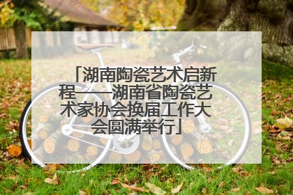 湖南陶瓷艺术启新程——湖南省陶瓷艺术家协会换届工作大会圆满举行