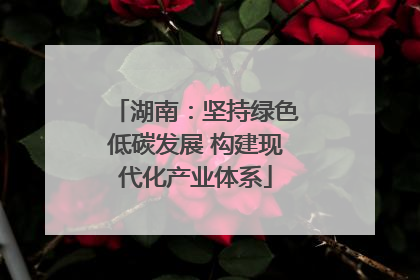 湖南：坚持绿色低碳发展 构建现代化产业体系