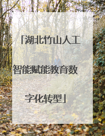 湖北竹山人工智能赋能教育数字化转型