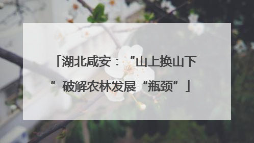 湖北咸安：“山上换山下”破解农林发展“瓶颈”
