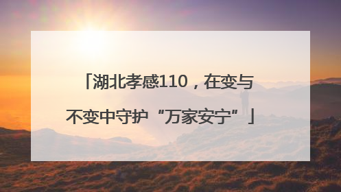 湖北孝感110，在变与不变中守护“万家安宁”