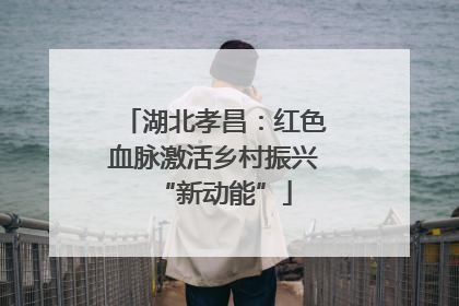 湖北孝昌：红色血脉激活乡村振兴“新动能”