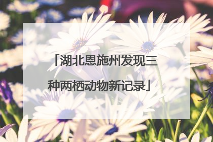 湖北恩施州发现三种两栖动物新记录