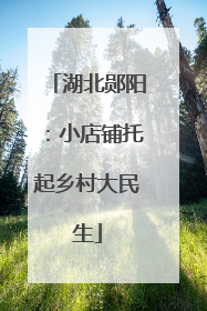 湖北郧阳：小店铺托起乡村大民生
