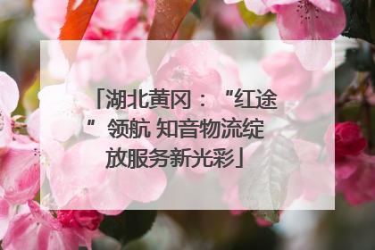 湖北黄冈：“红途”领航 知音物流绽放服务新光彩