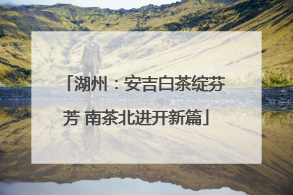 湖州：安吉白茶绽芬芳 南茶北进开新篇