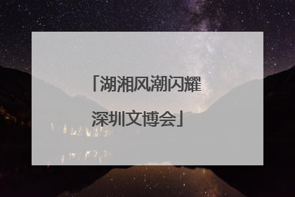 湖湘风潮闪耀深圳文博会