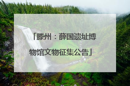 滕州：薛国遗址博物馆文物征集公告