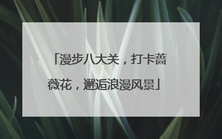 漫步八大关，打卡蔷薇花，邂逅浪漫风景