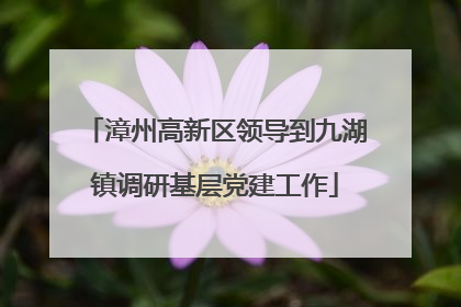 漳州高新区领导到九湖镇调研基层党建工作