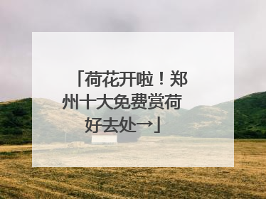 荷花开啦！郑州十大免费赏荷好去处→
