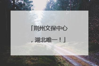荆州文保中心，湖北唯一！