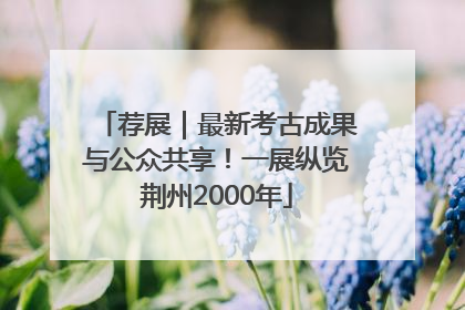 荐展｜最新考古成果与公众共享！一展纵览荆州2000年