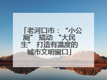 老河口市：“小公厕” 撬动 “大民生” 打造有温度的城市文明窗口