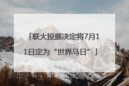 联大投票决定将7月11日定为“世界马日”