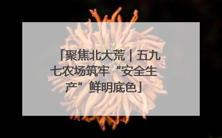 聚焦北大荒｜五九七农场筑牢“安全生产”鲜明底色