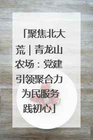 聚焦北大荒｜青龙山农场：党建引领聚合力 为民服务践初心