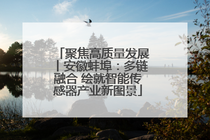 聚焦高质量发展丨安徽蚌埠：多链融合 绘就智能传感器产业新图景