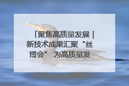 聚焦高质量发展｜新技术成果汇聚“丝博会” 为高质量发展注入新动能