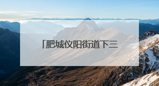 肥城仪阳街道下三合村：党群连心绘幸福“实景图”