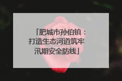 肥城市孙伯镇：打造生态河道筑牢汛期安全防线