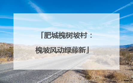 肥城槐树坡村：槐坡风动绿藤新