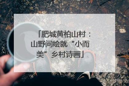 肥城黄柏山村：山野间绘就“小而美”乡村诗画