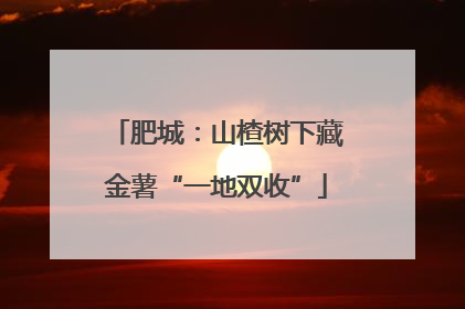 肥城：山楂树下藏金薯“一地双收”