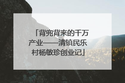 背兜背来的千万产业——清镇民乐村杨敏珍创业记