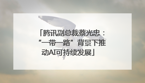 腾讯副总裁蔡光忠：“一带一路”背景下推动AI可持续发展