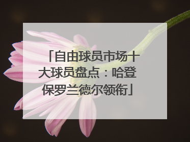 自由球员市场十大球员盘点：哈登保罗兰德尔领衔