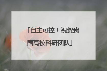 自主可控！祝贺我国高校科研团队
