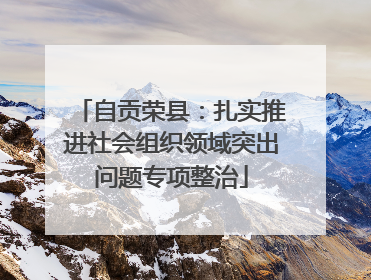 自贡荣县：扎实推进社会组织领域突出问题专项整治