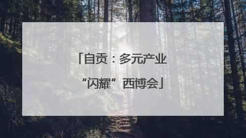 自贡：多元产业“闪耀”西博会