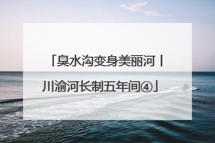 臭水沟变身美丽河丨川渝河长制五年间④