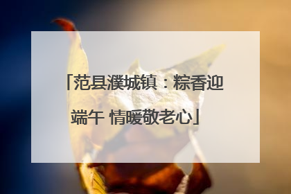 范县濮城镇：粽香迎端午 情暖敬老心