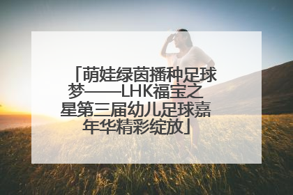 萌娃绿茵播种足球梦——LHK福宝之星第三届幼儿足球嘉年华精彩绽放