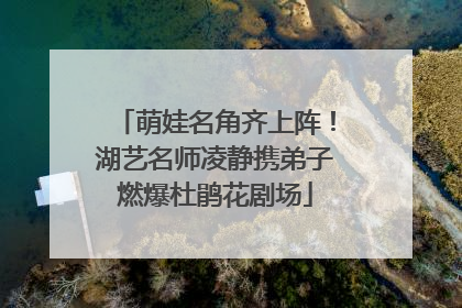 萌娃名角齐上阵！湖艺名师凌静携弟子燃爆杜鹃花剧场