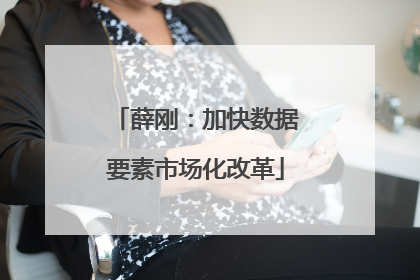 薛刚：加快数据要素市场化改革