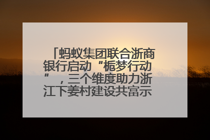 蚂蚁集团联合浙商银行启动“栀梦行动”，三个维度助力浙江下姜村建设共富示范区示范点