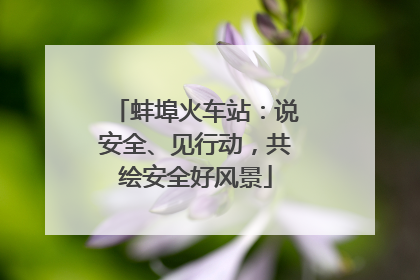 蚌埠火车站：说安全、见行动，共绘安全好风景