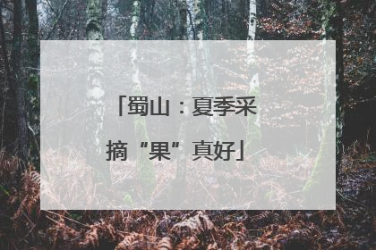 蜀山：夏季采摘“果”真好