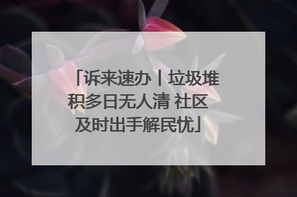 诉来速办丨垃圾堆积多日无人清 社区及时出手解民忧