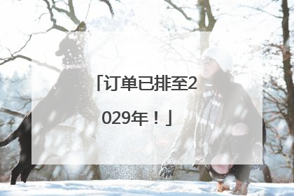 订单已排至2029年！