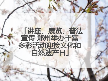 讲座、展览、普法宣传 郑州举办丰富多彩活动迎接文化和自然遗产日