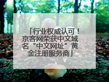 行业权威认可！京客网荣获中文域名“中文网址”黄金注册服务商