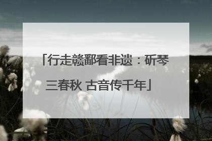 行走赣鄱看非遗：斫琴三春秋 古音传千年