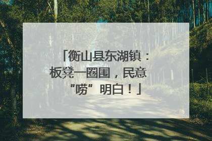 衡山县东湖镇：板凳一圈围，民意“唠”明白！