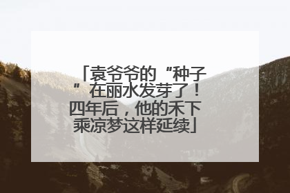 袁爷爷的“种子”在丽水发芽了！四年后，他的禾下乘凉梦这样延续